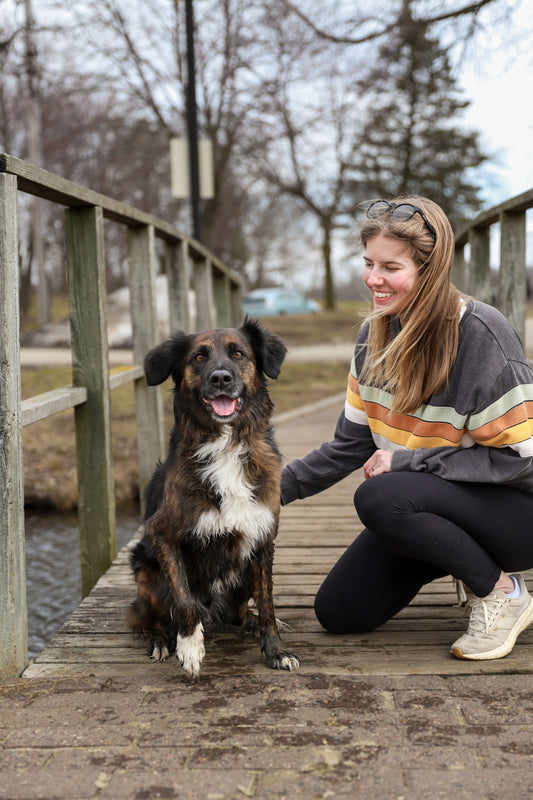 The Canine Cure: How Dogs Naturally Ease Stress and Brighten Our Days