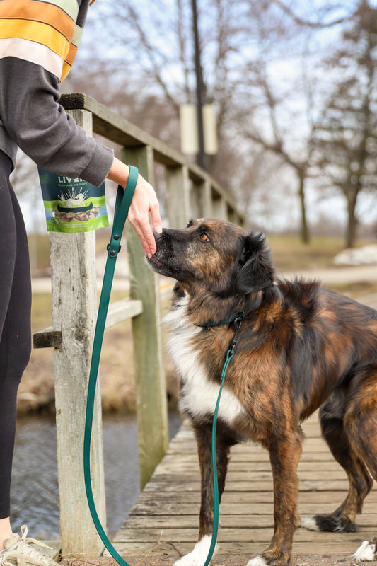 Adventure-Ready BioThane® Gear: Elevate Your Outdoor Excursions