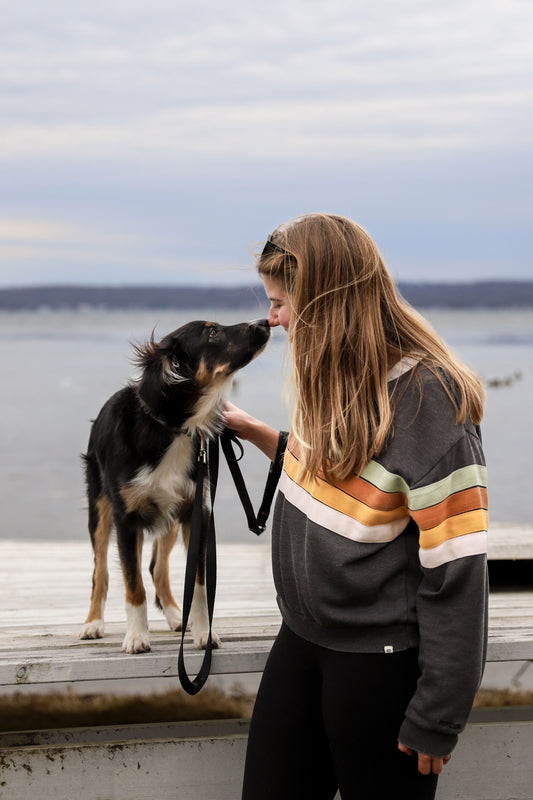australian shepherd mix puppy and dog mom by a lake