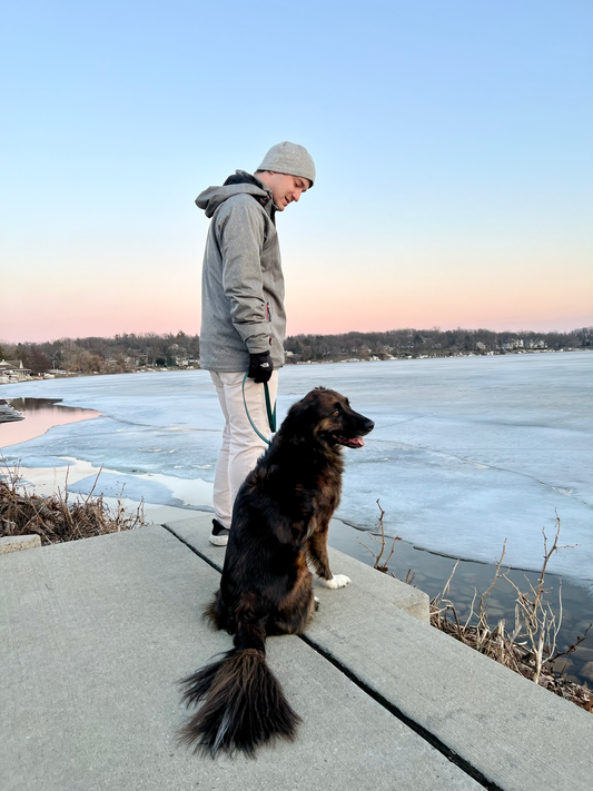 Explore the Geneva Lake Shore Path: A Dog-Friendly Wisconsin Adventure