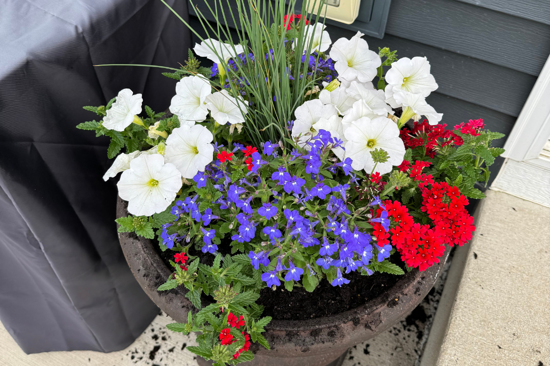 Create a Safe, Pet-Friendly Garden: Avoid Toxic Plants and Choose Alternatives